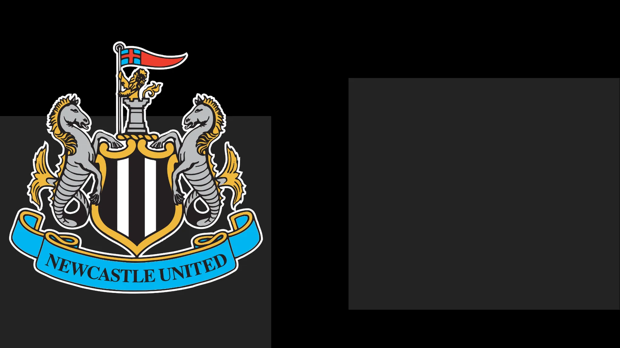 Newcastle's boss Hails Team's Heart – However It Only Takes Them To a Point