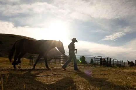 Meet the US Cowgirls Transforming Modern Ranching