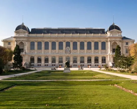 Priceless Golden Pieces Taken in Daring Robbery at French National Museum